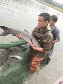 廣西玉林市陸川縣水產(chǎn)養(yǎng)殖協(xié)會(huì) 商會(huì) 成立在即