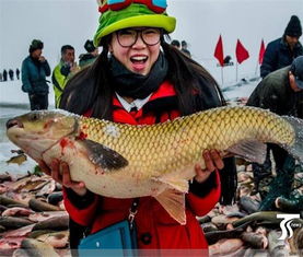 水產(chǎn)養(yǎng)殖系統(tǒng),自動(dòng)化養(yǎng)殖,解決水產(chǎn)養(yǎng)殖的各種問(wèn)題