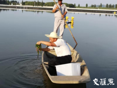 祖國(guó) 我想對(duì)你說