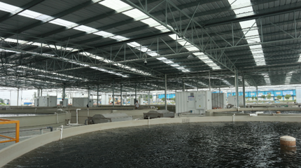 &ldquo;中集漁業(yè)+智慧技術(shù)&rdquo;打造可持續(xù)發(fā)展養(yǎng)殖模式