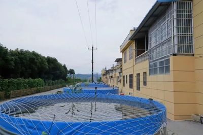 楊凌示范區(qū)科技讓陜西土特產(chǎn)&ldquo;火&rdquo;出圈