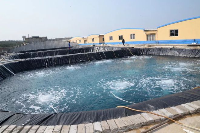 水產(chǎn)界女CEO花25年打造飼料、蝦苗、動保小產(chǎn)業(yè)鏈 !如今她聘請?zhí)﹪鴮＜摇⒙?lián)手正大,發(fā)力蝦苗板塊 | 尋找中國好蝦苗