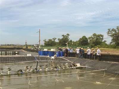 越南升龍:海大集團國際化戰略的先行軍