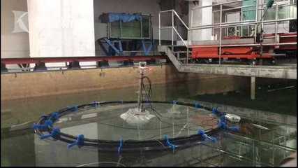 &ldquo;深遠(yuǎn)海養(yǎng)殖技術(shù)發(fā)展國際研討會&rdquo;在臨港召開