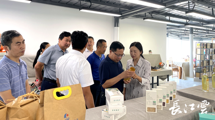 361個鮮食玉米品種齊亮相,哪個是你的菜?