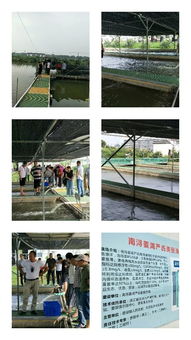 浙江武義職技校培訓中心組織水產(chǎn)養(yǎng)殖班到嘉興湖州培訓學習
