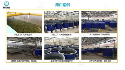 工廠化養魚技術 工廠化養魚 智慧農研(推薦商家)