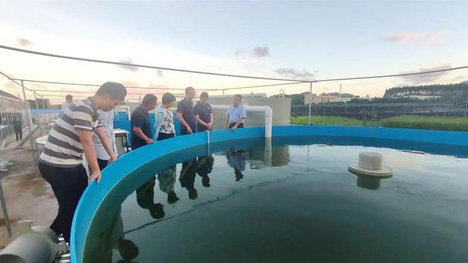 技術大拿間的&ldquo;夢幻聯動&rdquo;!海之味與集美大學水產學院達成戰略合作,開啟牛蛙技術研發新篇章