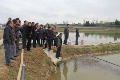 專家來武漢蝦龍水產(chǎn)養(yǎng)殖開發(fā)開展龍蝦養(yǎng)殖技術研發(fā)工作