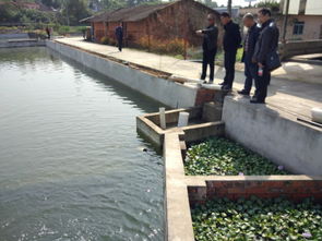 寧夏水產(chǎn)技術(shù)推廣站一行到四川成都龍泉參觀學(xué)循環(huán)水養(yǎng)殖模式