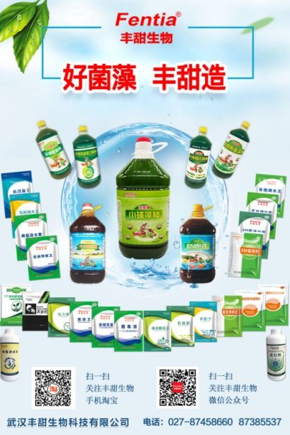 水產(chǎn)養(yǎng)殖博覽會新亮點(diǎn)呈現(xiàn)