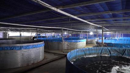 武漢海鮮陸?zhàn)B項目開工 年產(chǎn)石斑魚超50萬斤，推動水產(chǎn)養(yǎng)殖技術(shù)研發(fā)