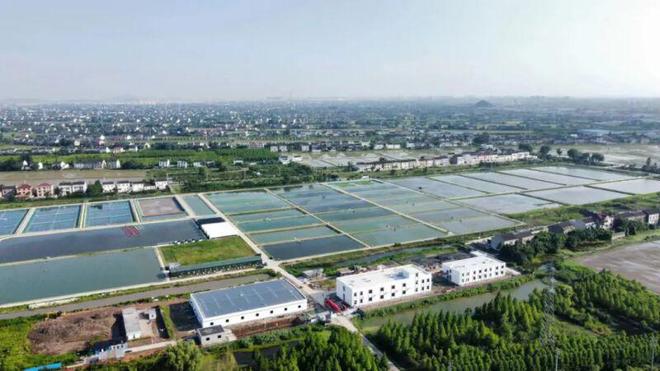 靖江基地一期工程基本完工，水產(chǎn)養(yǎng)殖科研迎來新突破